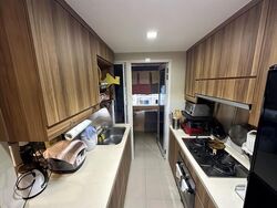 The Tampines Trilliant (D18), Condominium #482061211